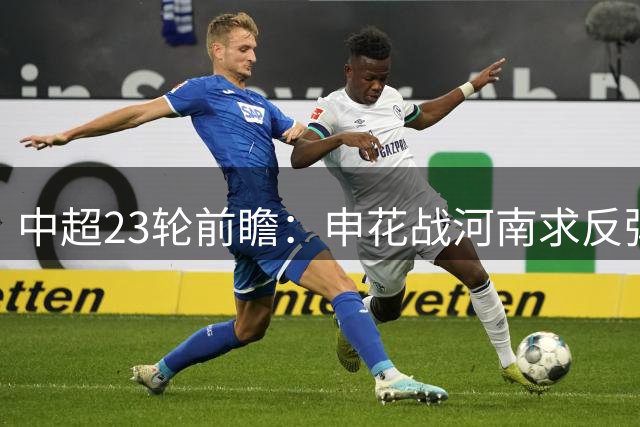 中超23轮前瞻：申花战河南求反弹 海港远征武汉盼延续胜势
